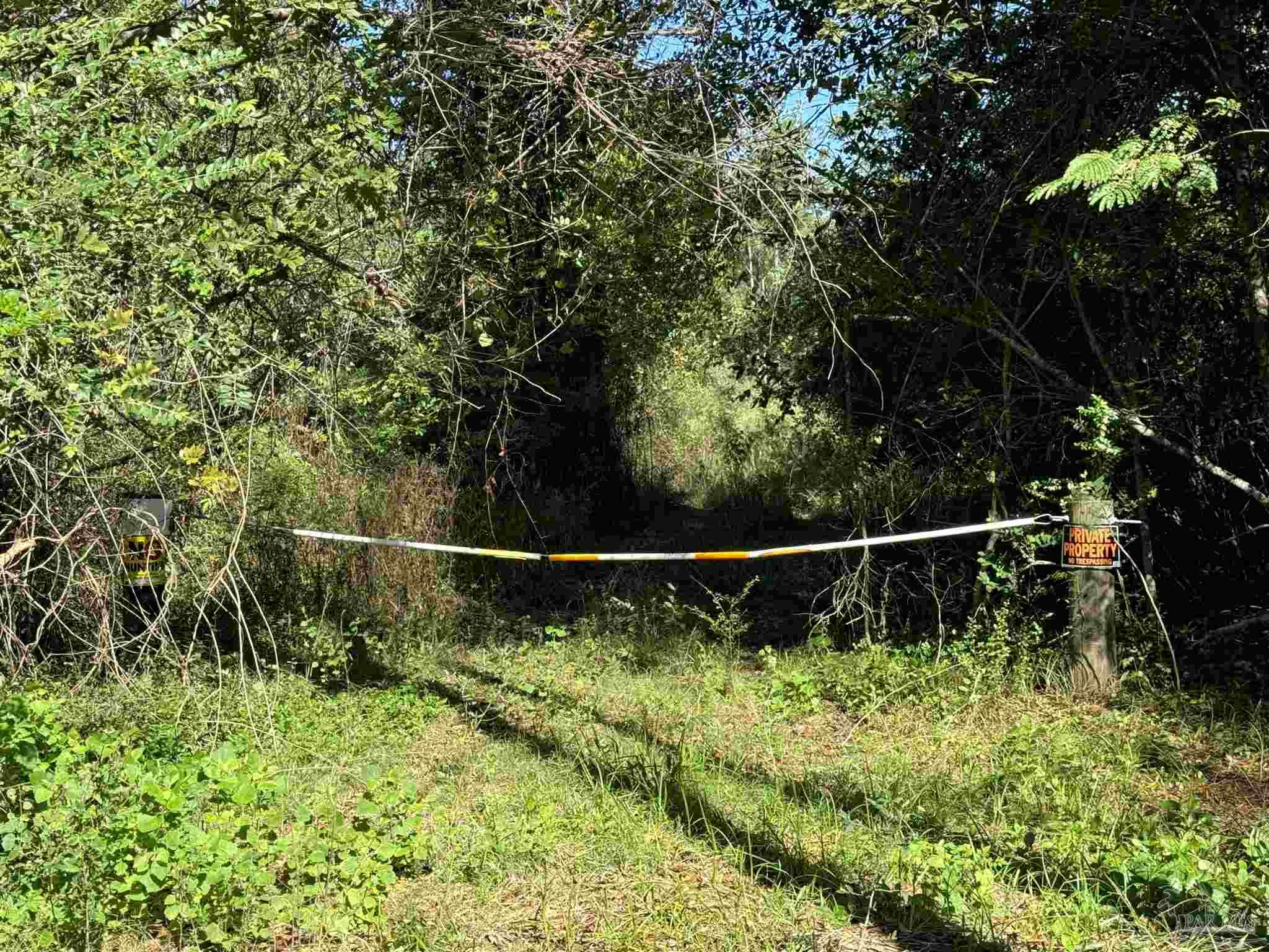 0 Pleasant Hill Road Century, FL 32535 - Photo 4 of 13