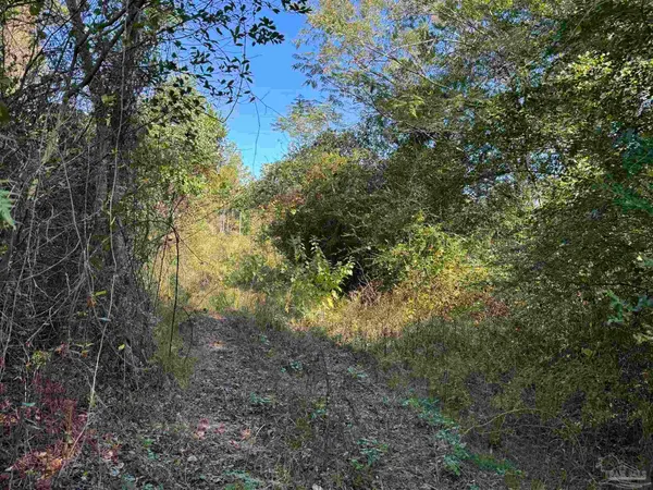 $245,000 | 0 Pleasant Hill Road, Century, FL 32535