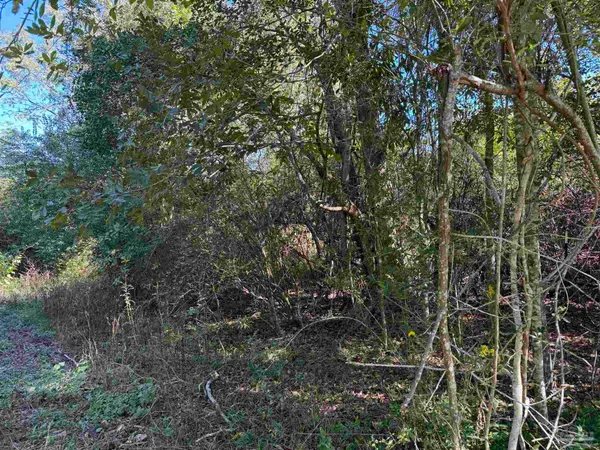 $245,000 | 0 Pleasant Hill Road, Century, FL 32535