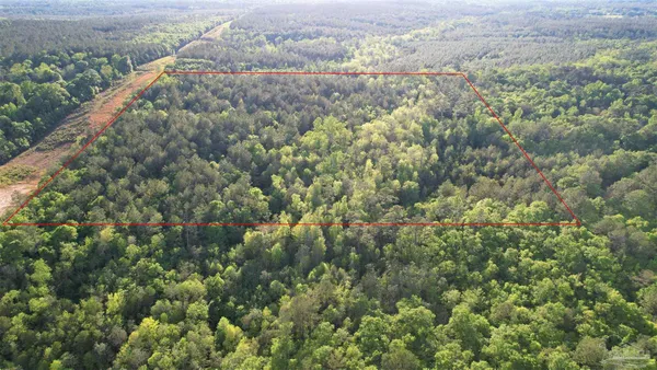 $245,000 | 0 Pleasant Hill Road, Century, FL 32535