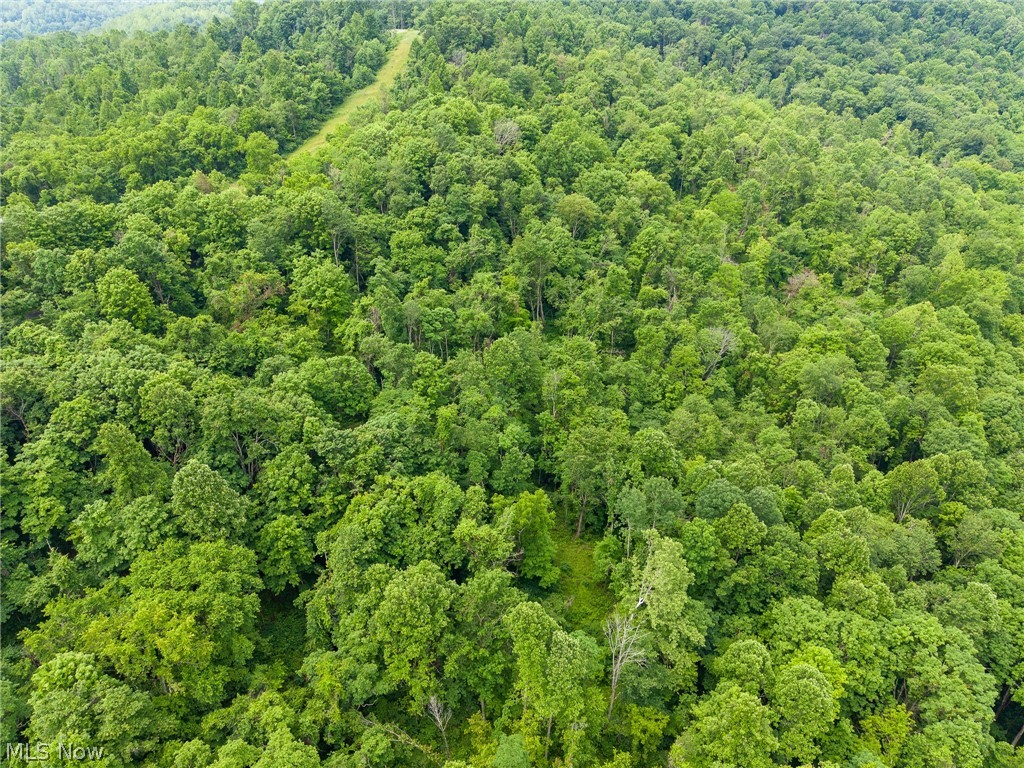 Kinnen Road Caldwell, OH 43724 - Photo 10 of 37