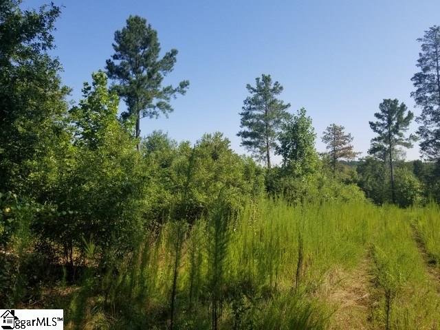 Cooks Bridge Road Fountain Inn, SC 29644 - Photo 3 of 14
