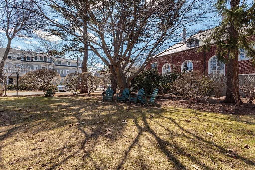 100 Pond Street, Unit 6 Boston, MA 02130 - Photo 22 of 29 a view of a yard with a large tree