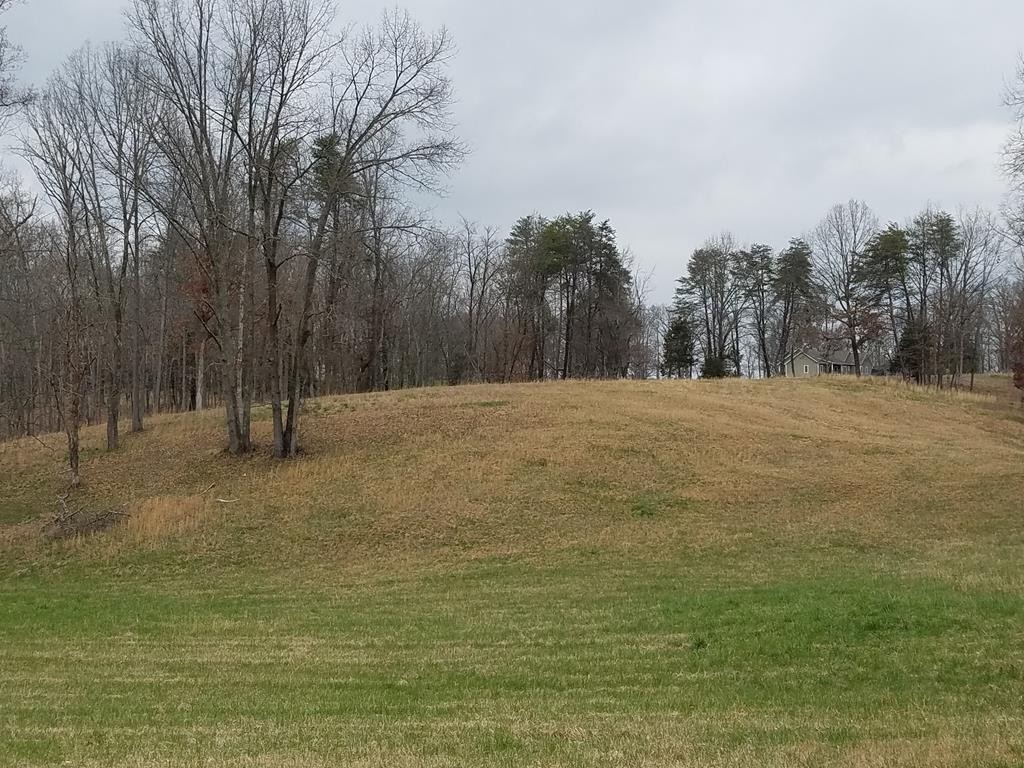 0 Bill Smith Road Cookeville, TN 38501 - Photo 1 of 6 Gallery Image 1