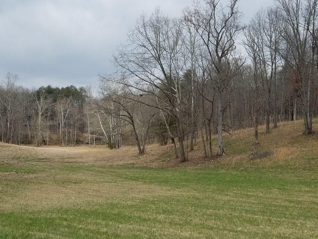 0 Bill Smith Road Cookeville, TN 38501 - Photo 2 of 6 Gallery Image 2