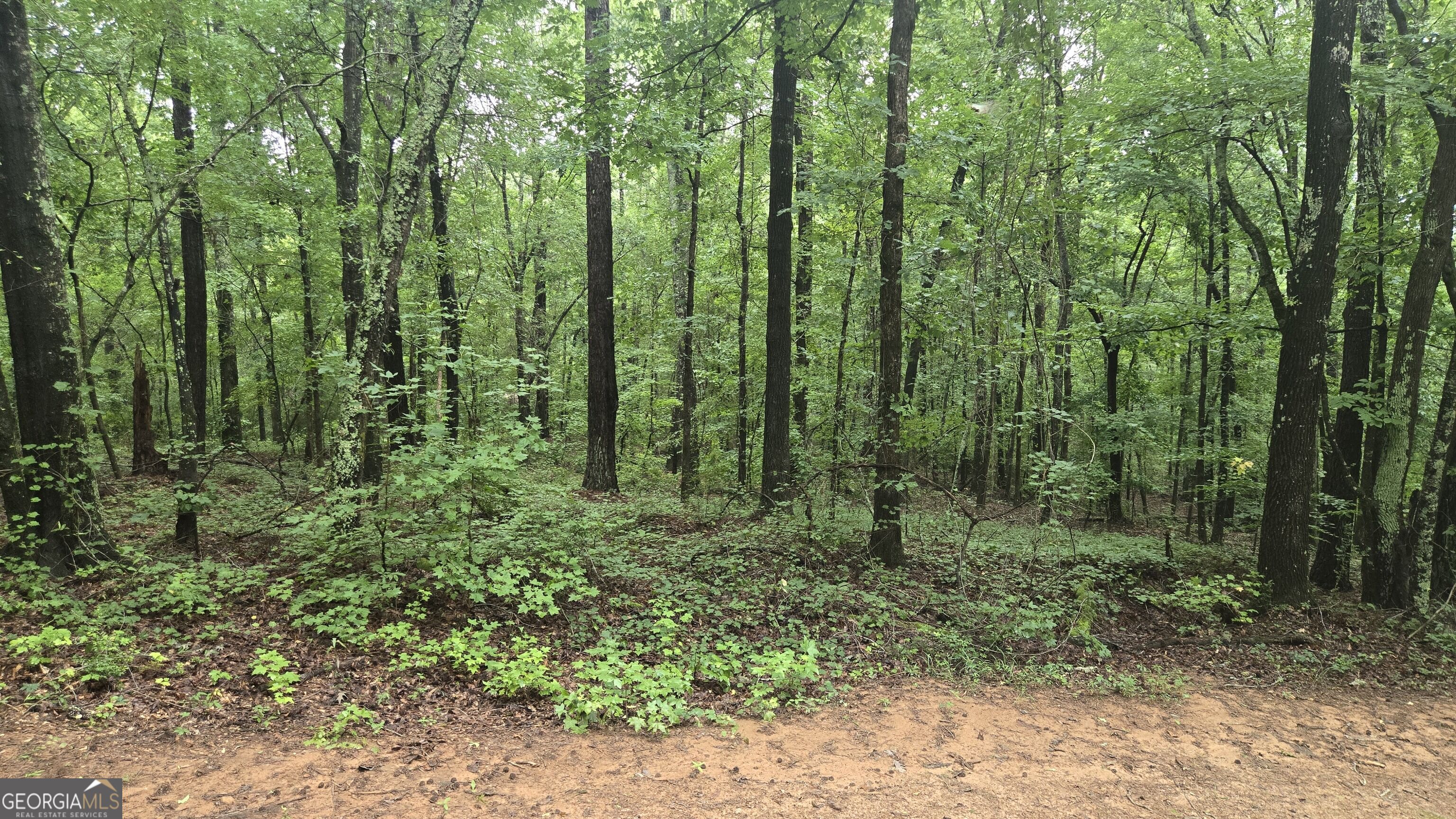 3065 Smokey Road Athens, GA 30601 - Photo 15 of 68 Gallery Image 15