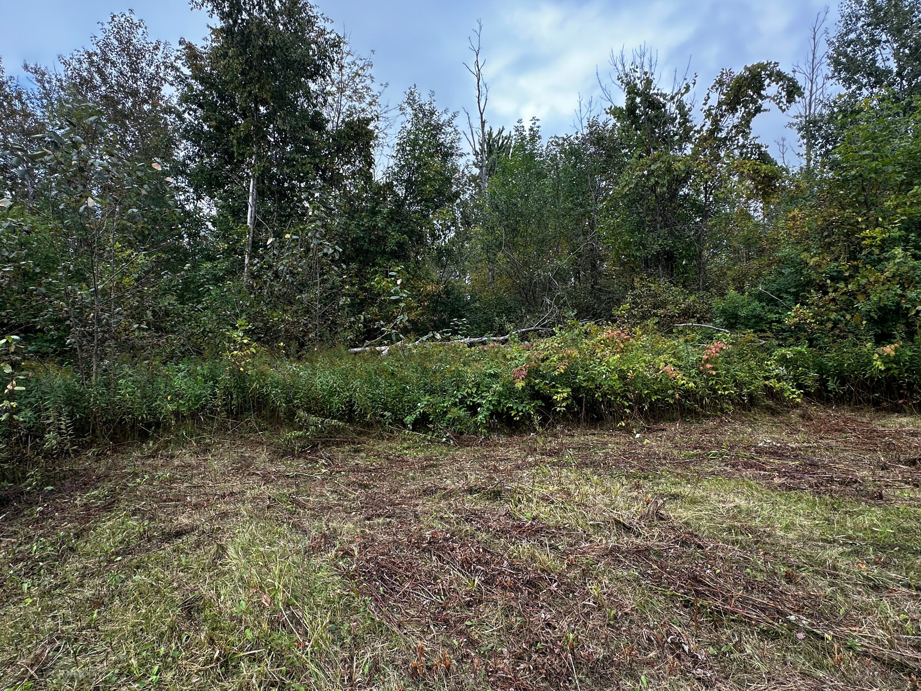 8265 Gutchess Road Alpena, MI 49707 - Photo 3 of 8 Gallery Image 3