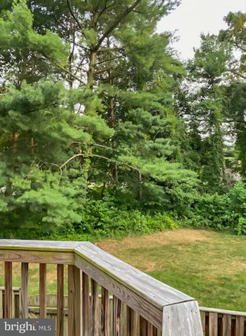 a view of a green yard with large trees