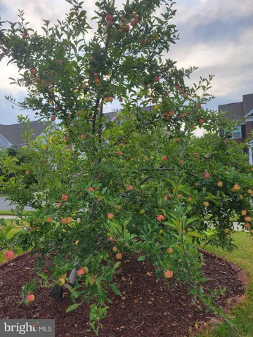 $1,495,000 | 42134 Autumn Rain Circle, Brambleton, VA 20148