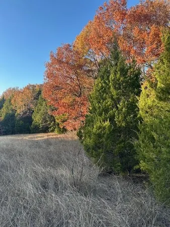 $3,950 | 6448 County Road 437, Princeton, TX 75407