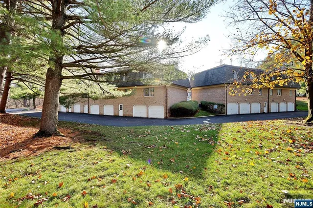 a view of a yard with a house and a large tree