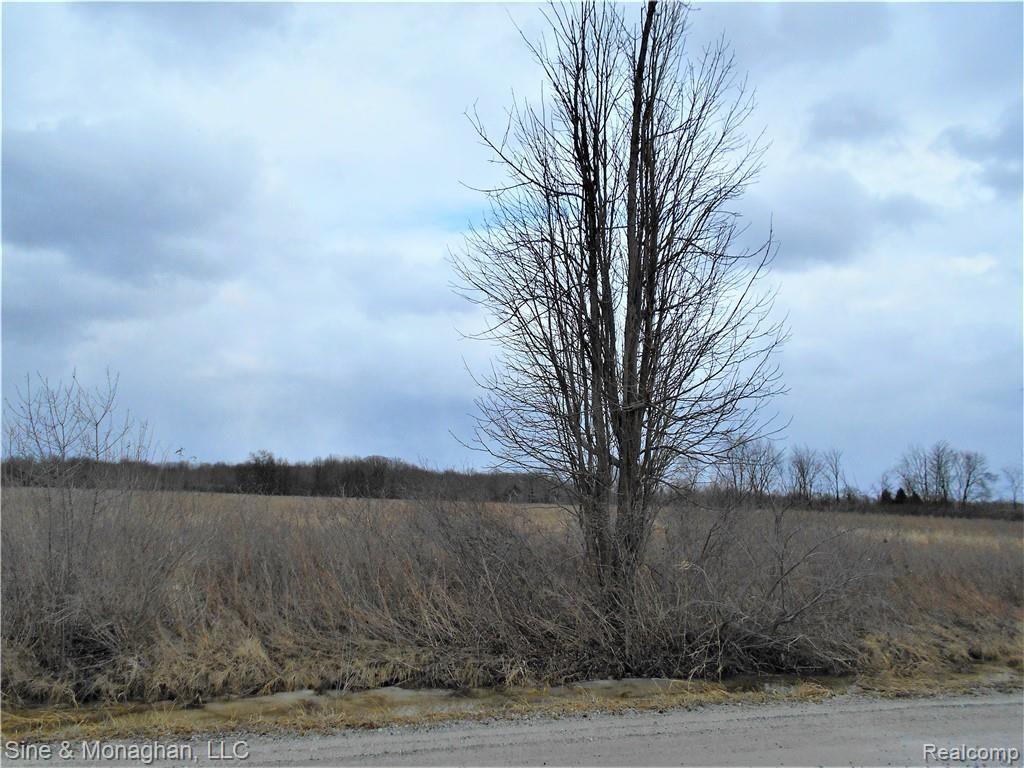 0 Meldrum (parcel B) Road Casco, MI 48064 - Photo 5 of 7 Gallery Image 5
