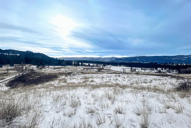 $175,000 | 3341 Daisy Mine Road, Rice, WA 99167