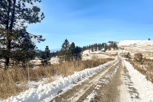 $175,000 | 3341 Daisy Mine Road, Rice, WA 99167