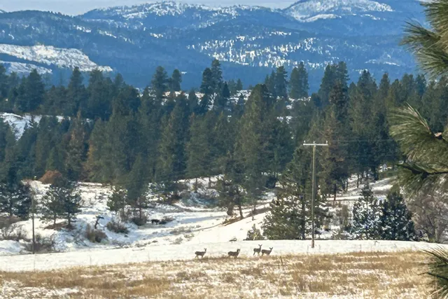 $175,000 | 3341 Daisy Mine Road, Rice, WA 99167