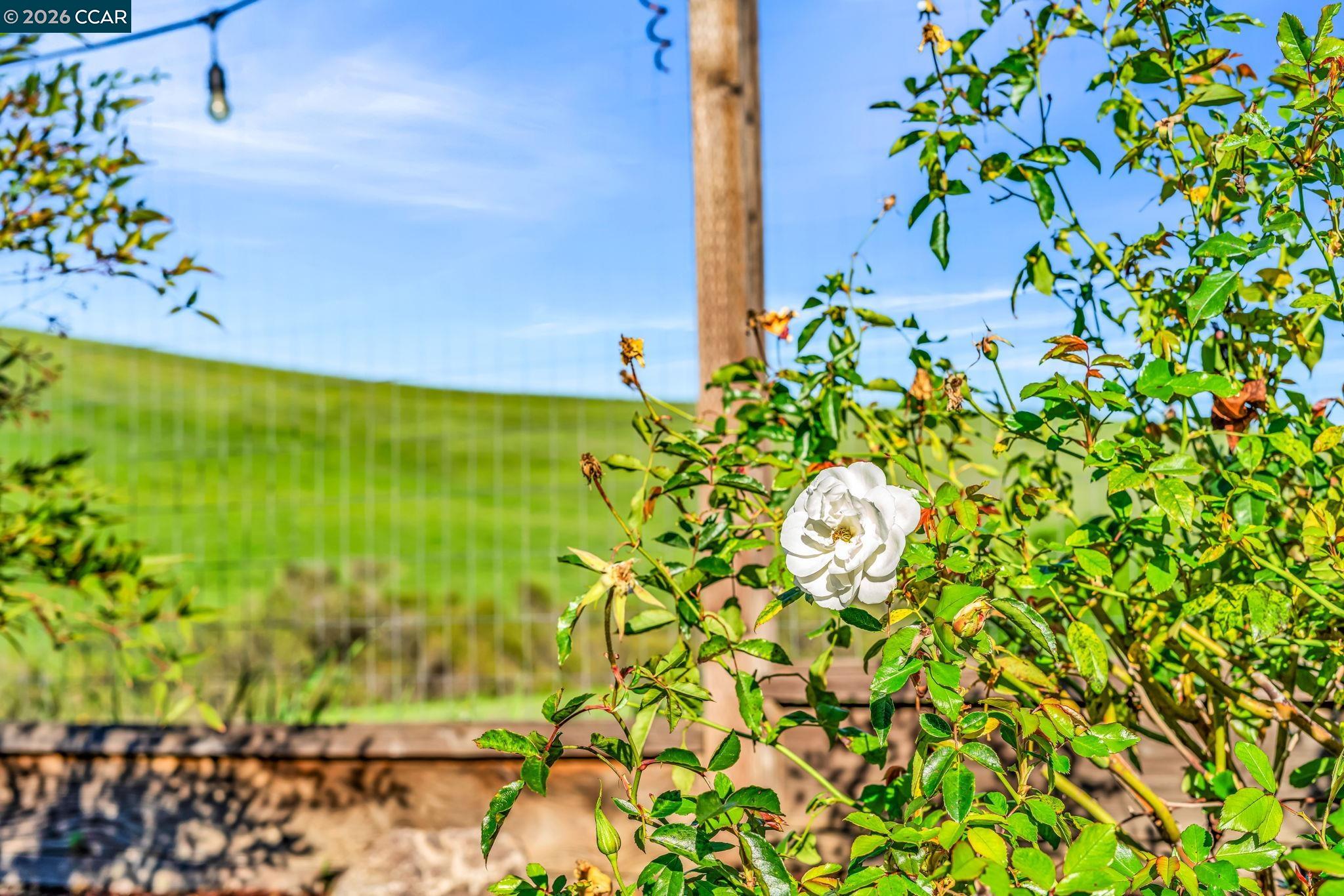 116 Spalding Court San Ramon, CA 94582 - Photo 53 of 59