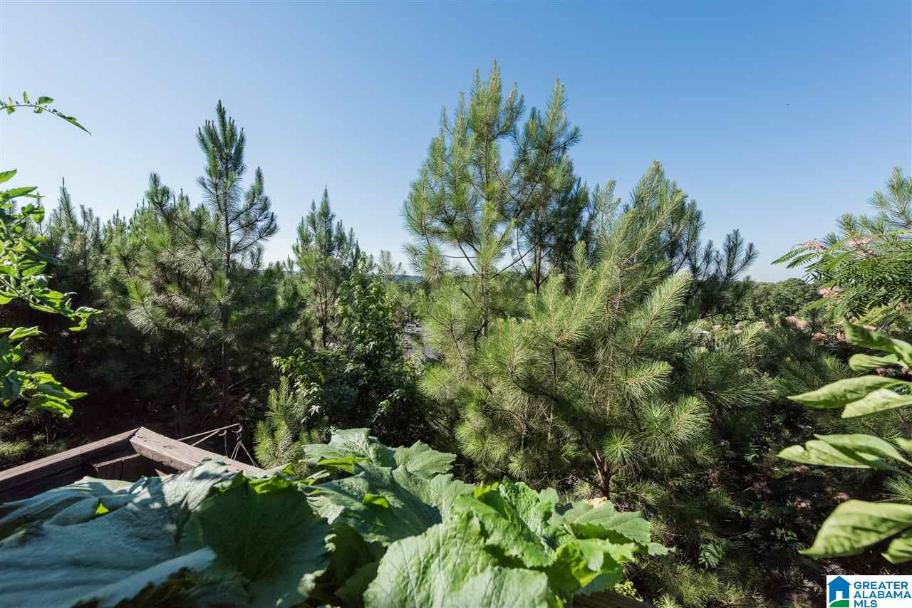 2291 Ridgemont Drive Birmingham, AL 35244 - Photo 36 of 36