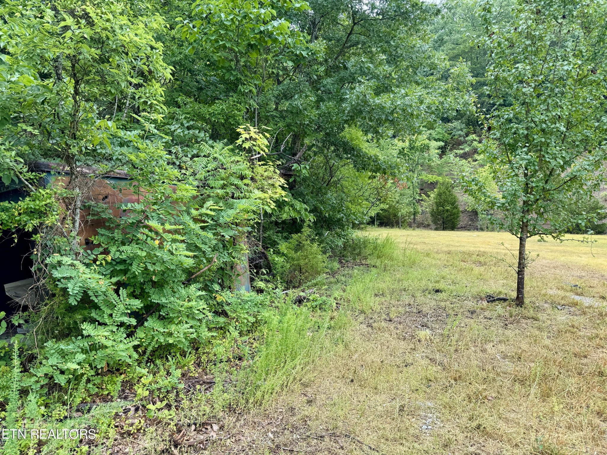 955 Lakeway Road Morristown, TN 37814 - Photo 14 of 20 Gallery Image 14