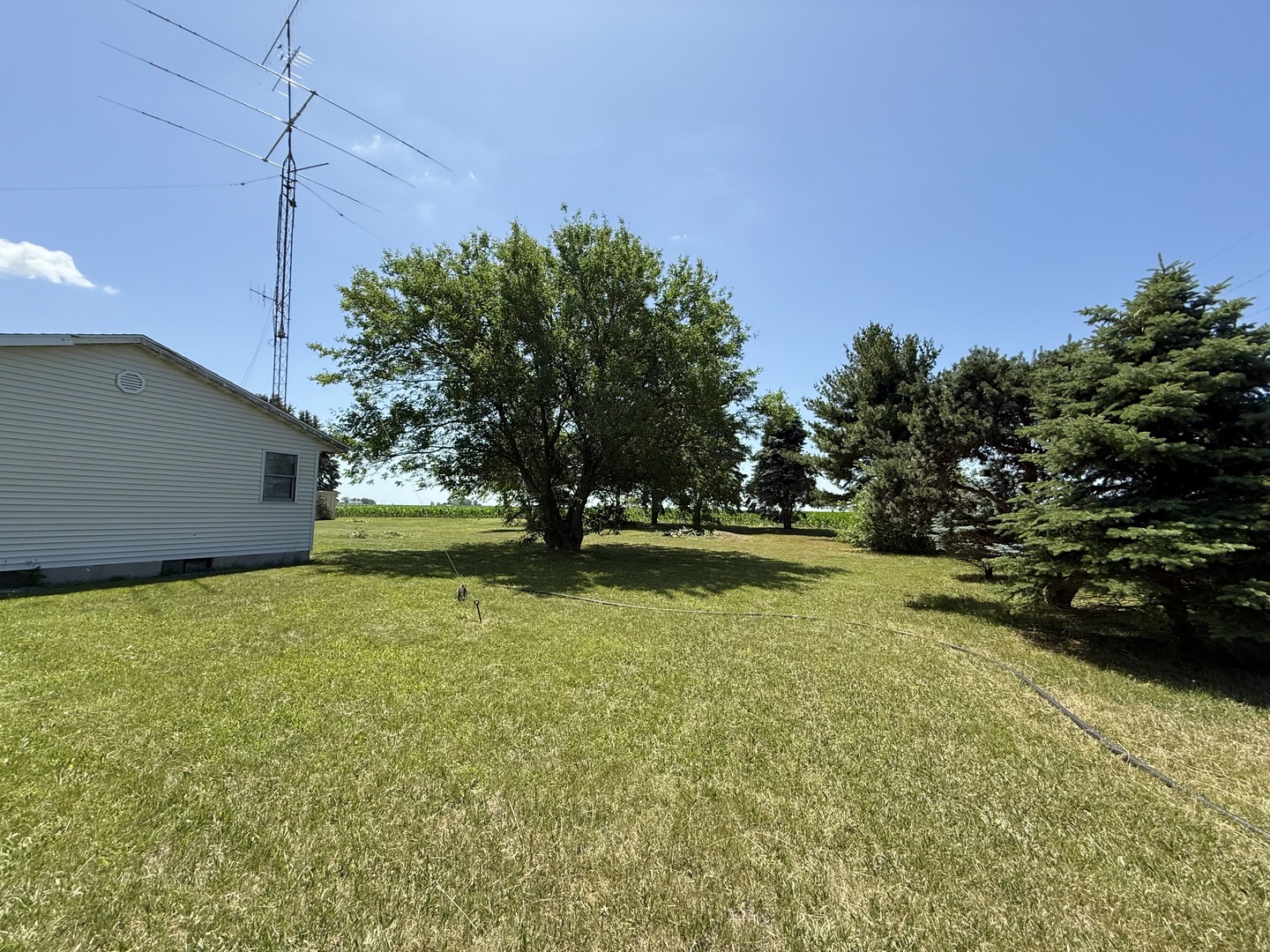 31535 East Thome Road Rock Falls, IL 61071 - Photo 3 of 31 a view of a yard with a house