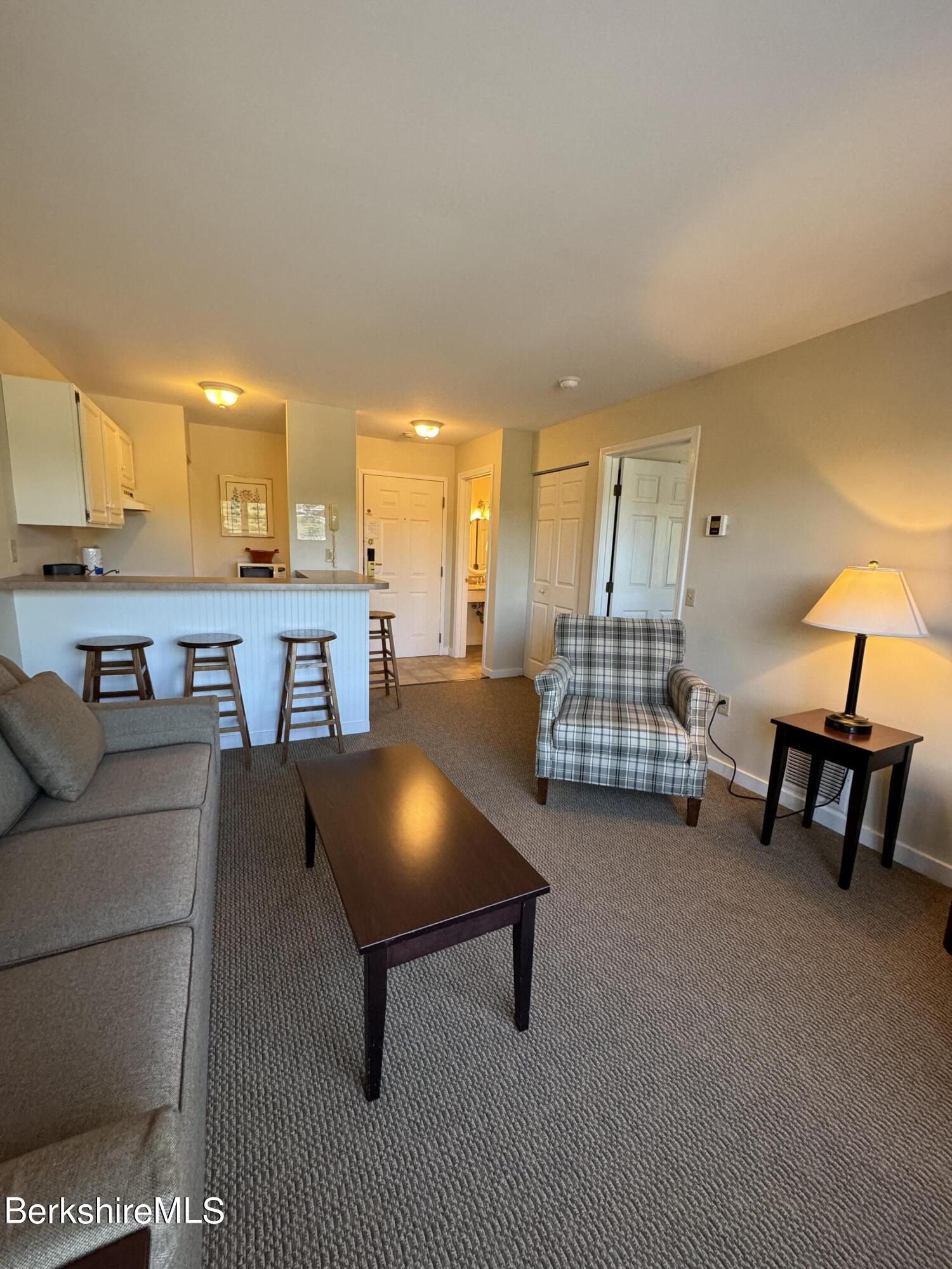 37 Corey Road, Unit 420 Hancock, MA 01237 - Photo 8 of 15 IMG_0420