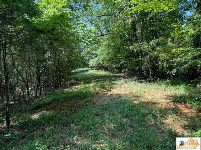 1755 Old 61 Loop Road Breeding, KY 42715 - Photo 14 of 21 Gallery Image 14
