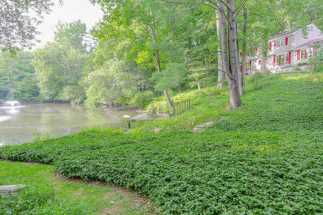 316 Haviland Road Stamford, CT 06903 - Photo 1 of 1 Gallery Image 1