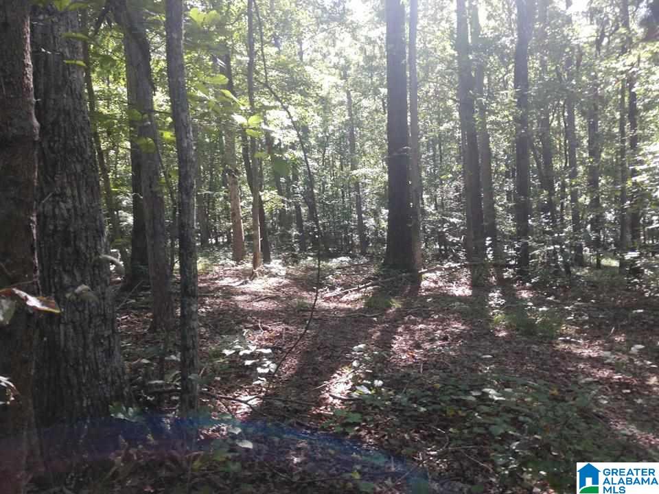 8571 Ruth Drive Bessemer, AL 35023 - Photo 2 of 4