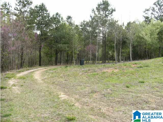0 Spring Creek Road, Unit 30 AC Calera, AL 35040 - Photo 14 of 20