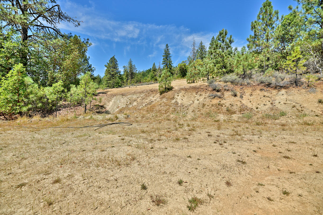 360 Sparky Way Cave Junction, OR 97523 - Photo 14 of 20 DSC_9697