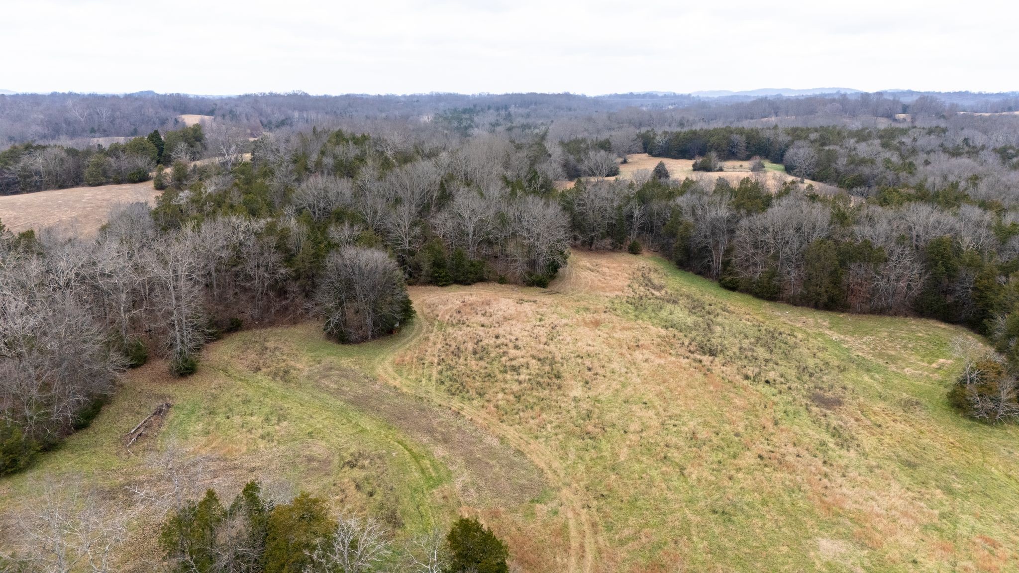 0 Flat Creek Road Spring Hill, TN 37174 - Photo 11 of 37 a view of a dry yard