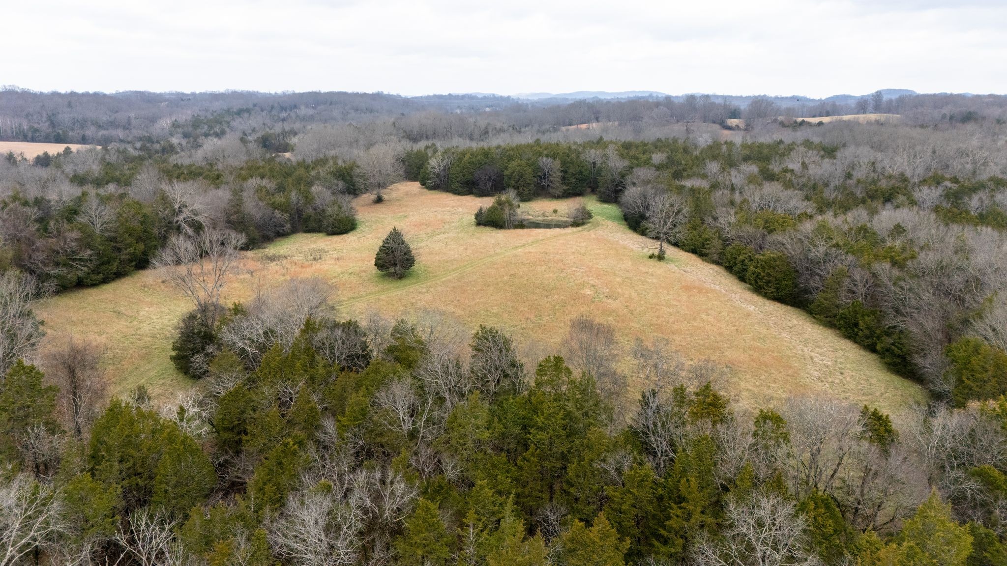 0 Flat Creek Road Spring Hill, TN 37174 - Photo 12 of 37 a view of a dry yard with mountains in the background