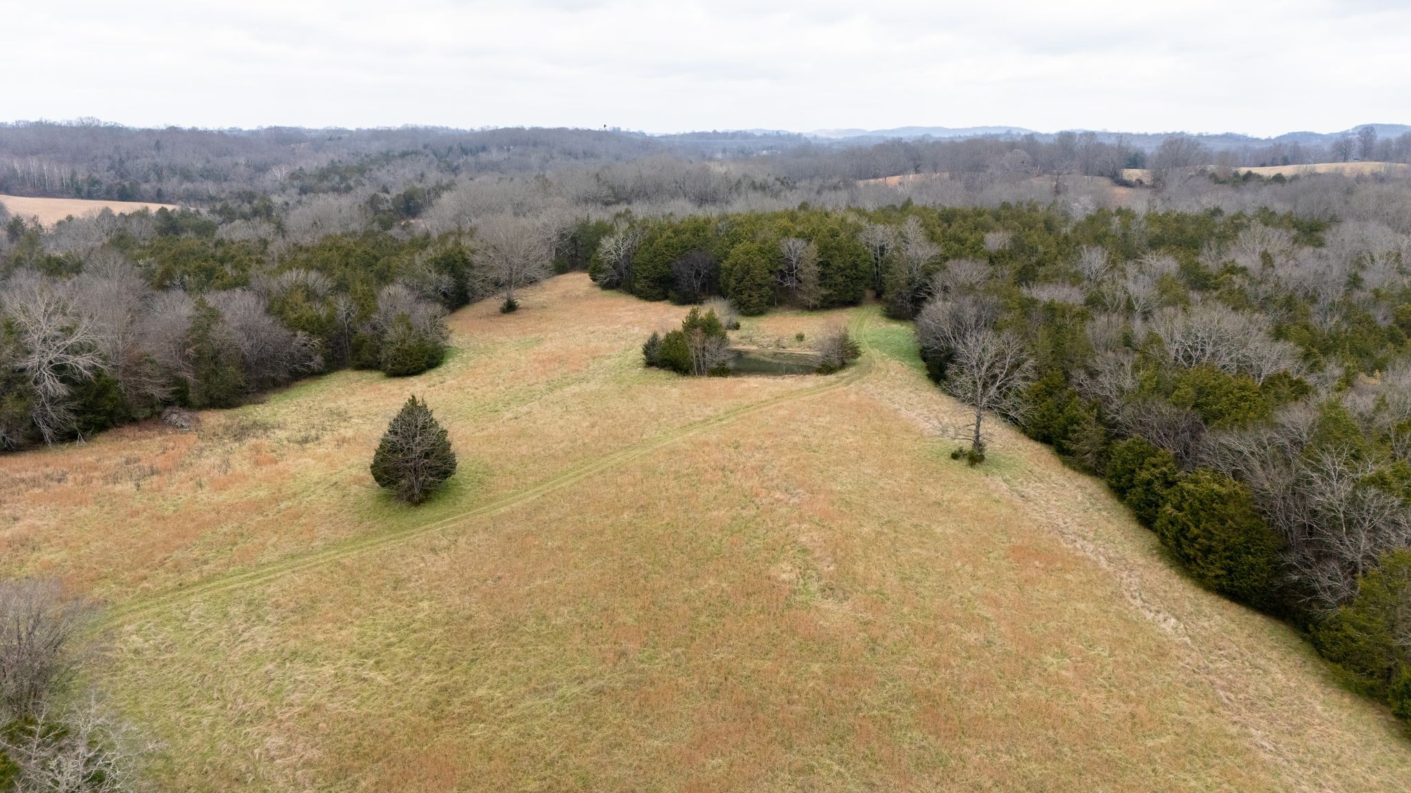0 Flat Creek Road Spring Hill, TN 37174 - Photo 13 of 37 a view of a dry yard with mountains in the background