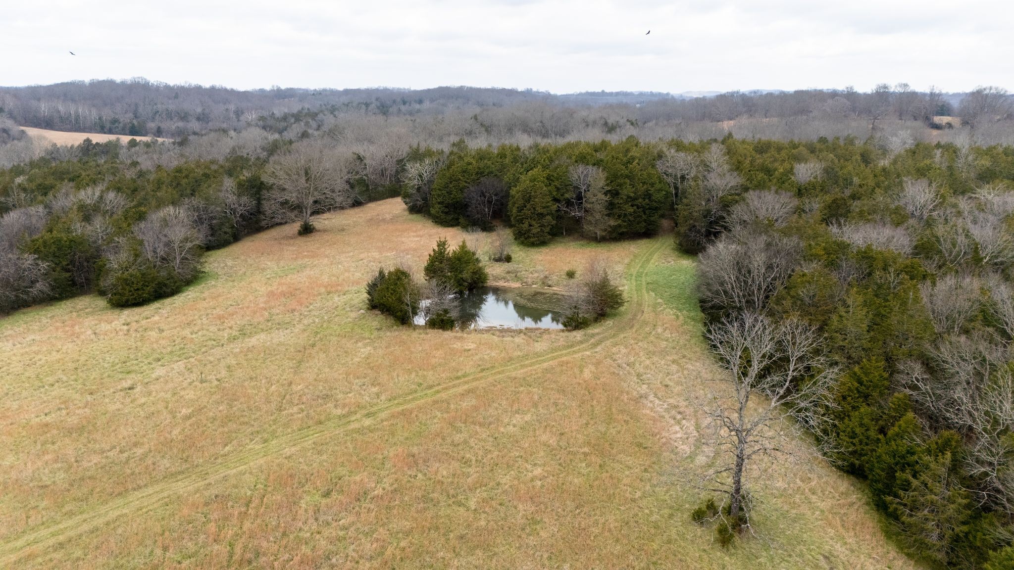 0 Flat Creek Road Spring Hill, TN 37174 - Photo 14 of 37 a view of a mountain in the distance
