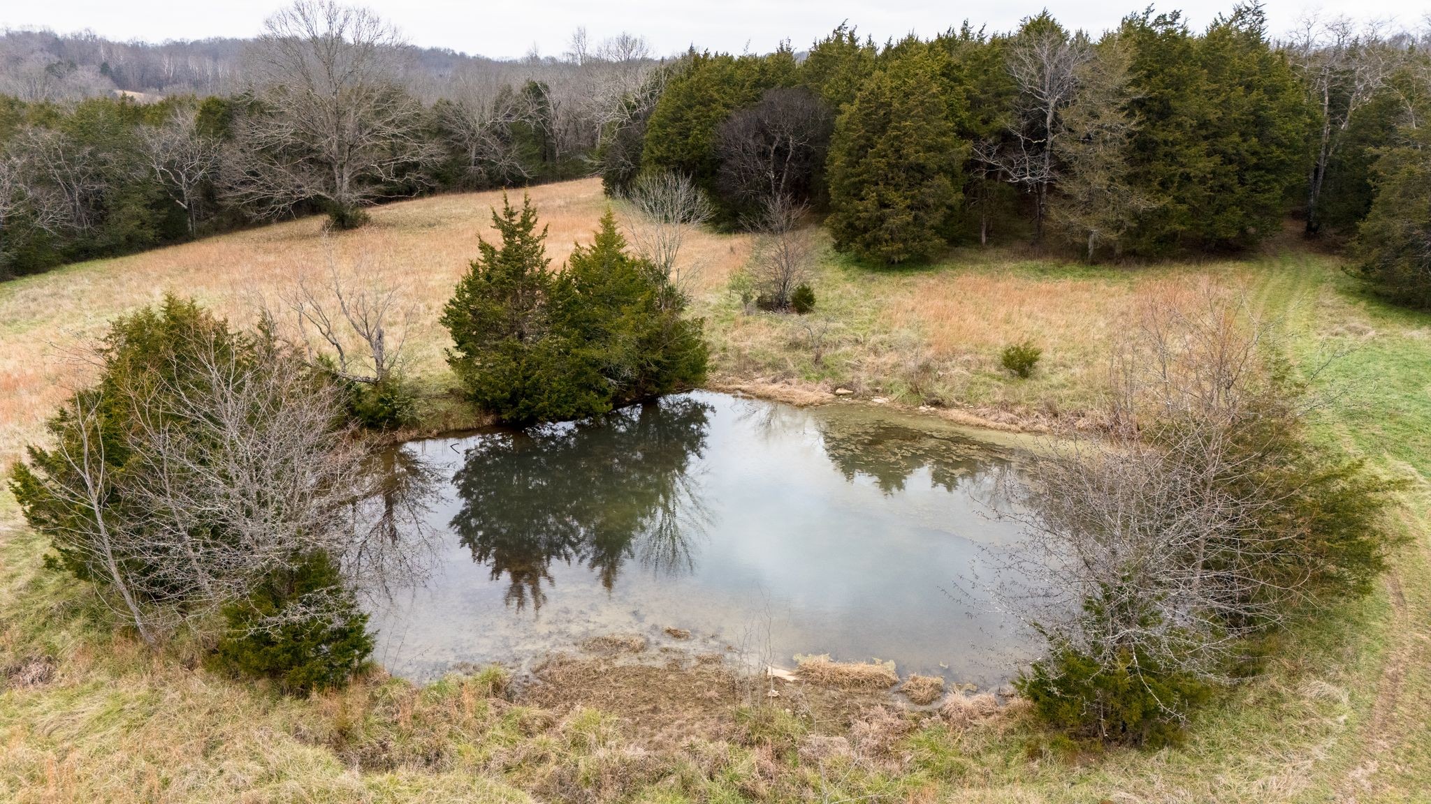 0 Flat Creek Road Spring Hill, TN 37174 - Photo 16 of 37 a view of a lake with trees in the background