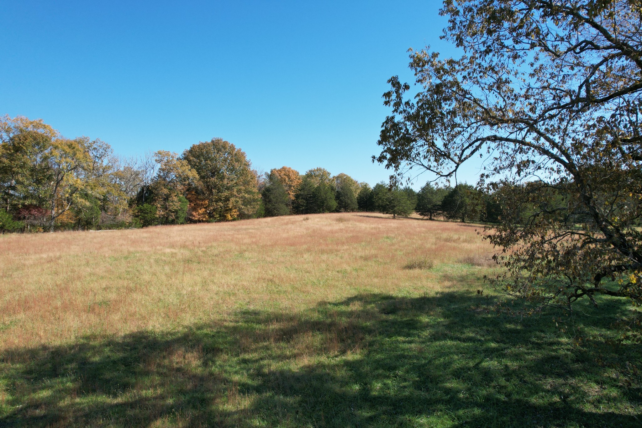 0 Flat Creek Road Spring Hill, TN 37174 - Photo 18 of 37 a view of a field of the trees