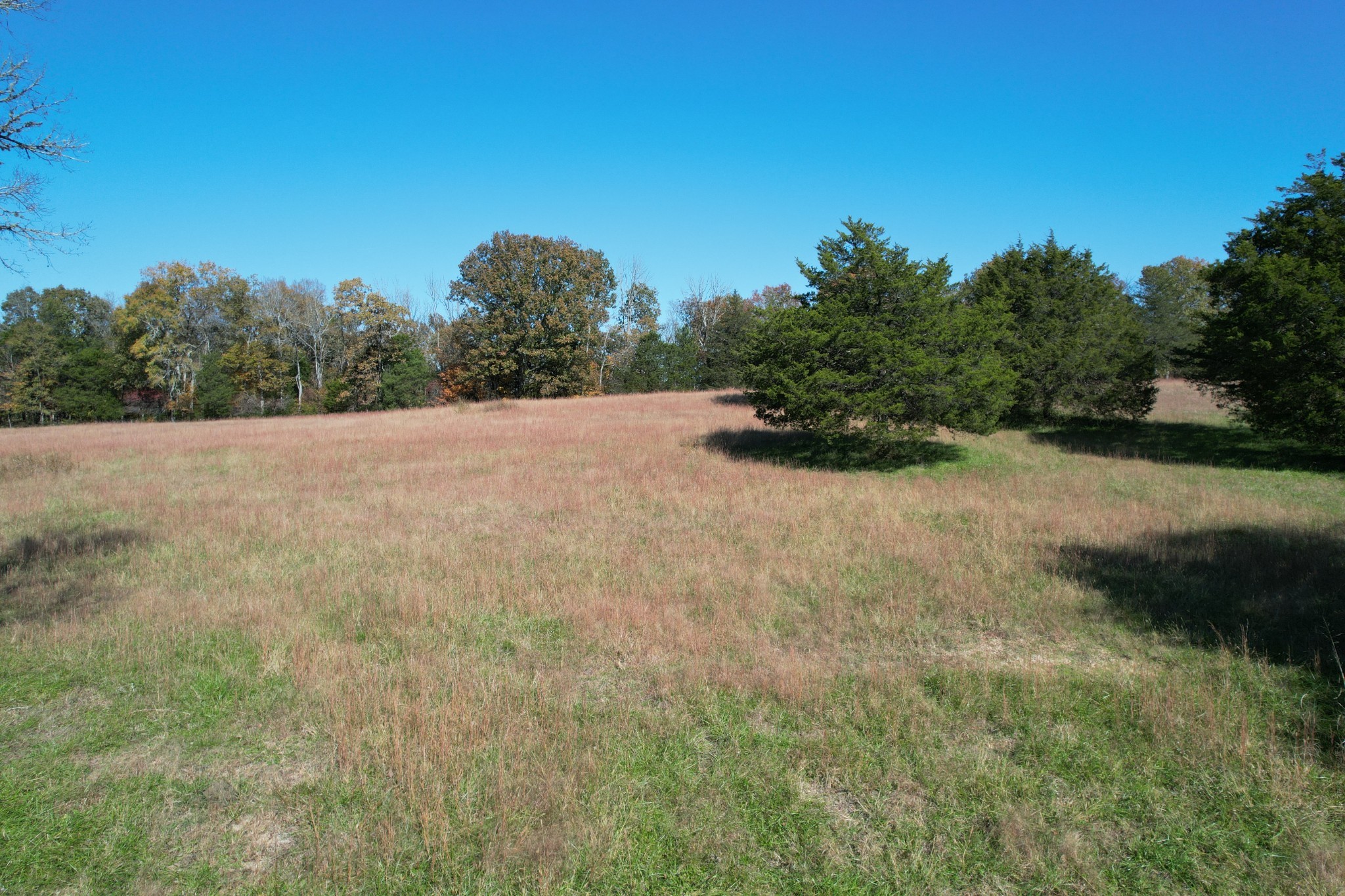 0 Flat Creek Road Spring Hill, TN 37174 - Photo 19 of 37 a view of outdoor space and yard