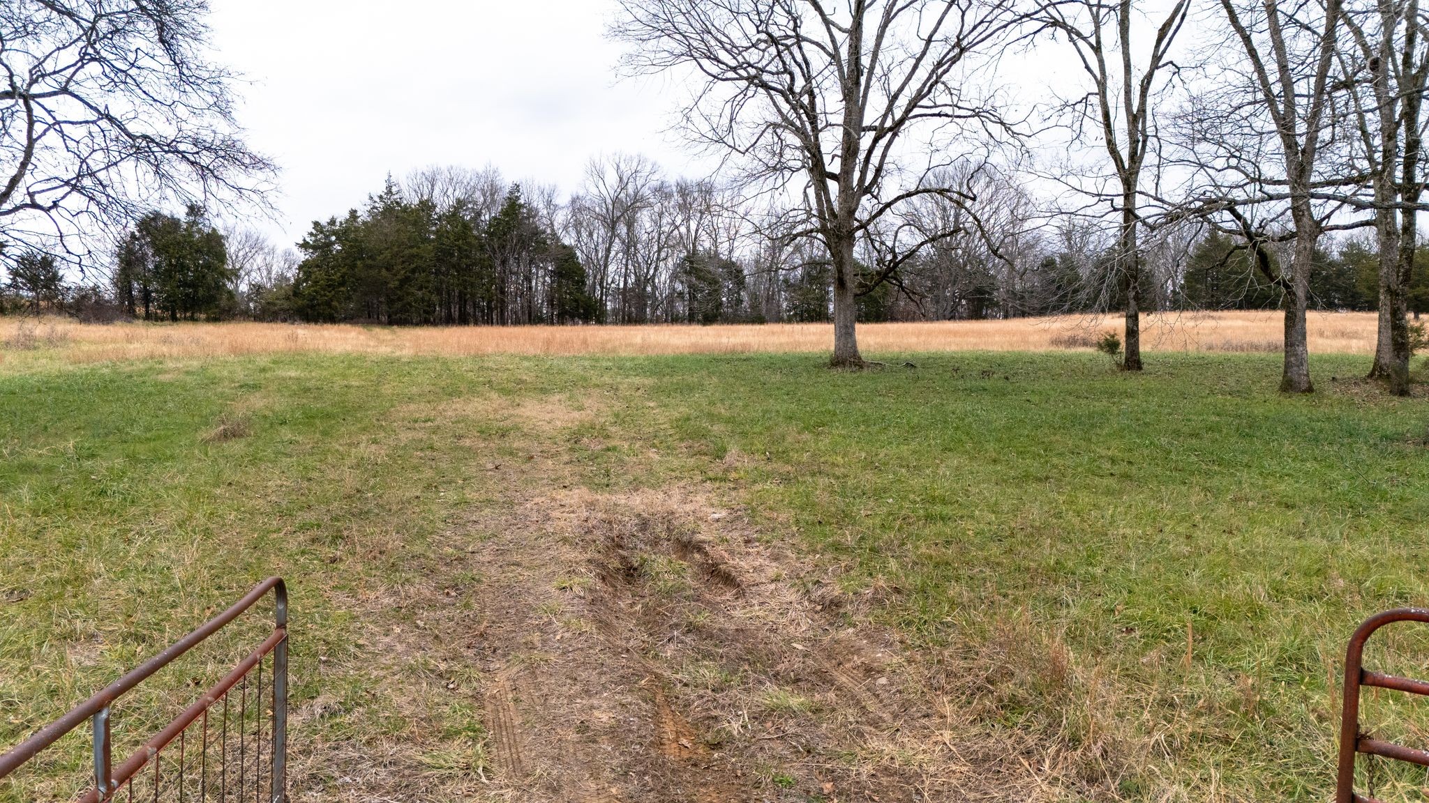 0 Flat Creek Road Spring Hill, TN 37174 - Photo 2 of 37 a view of a field with trees in the background