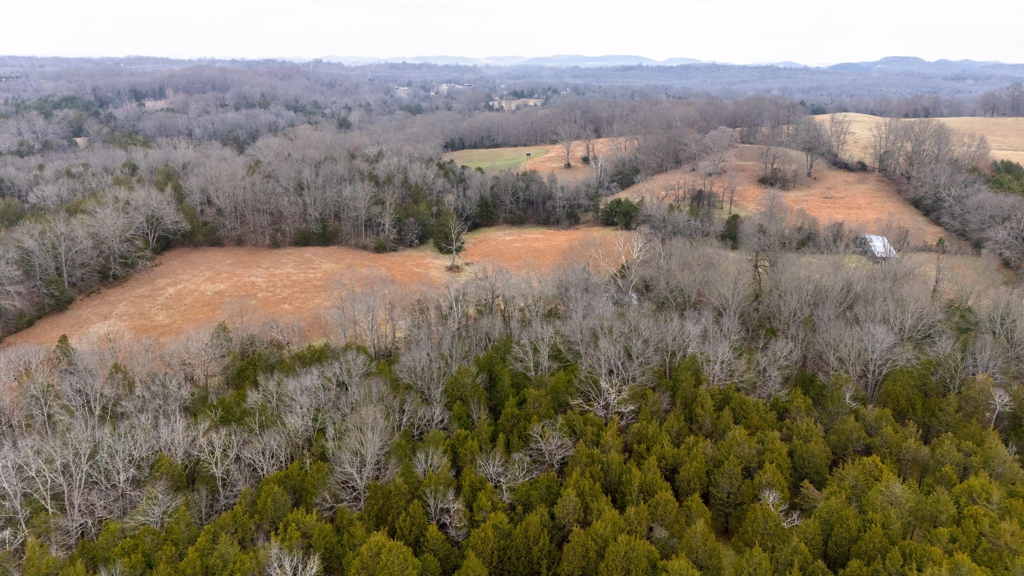 0 Flat Creek Road Spring Hill, TN 37174 - Photo 21 of 37 a view of a dry yard with green space