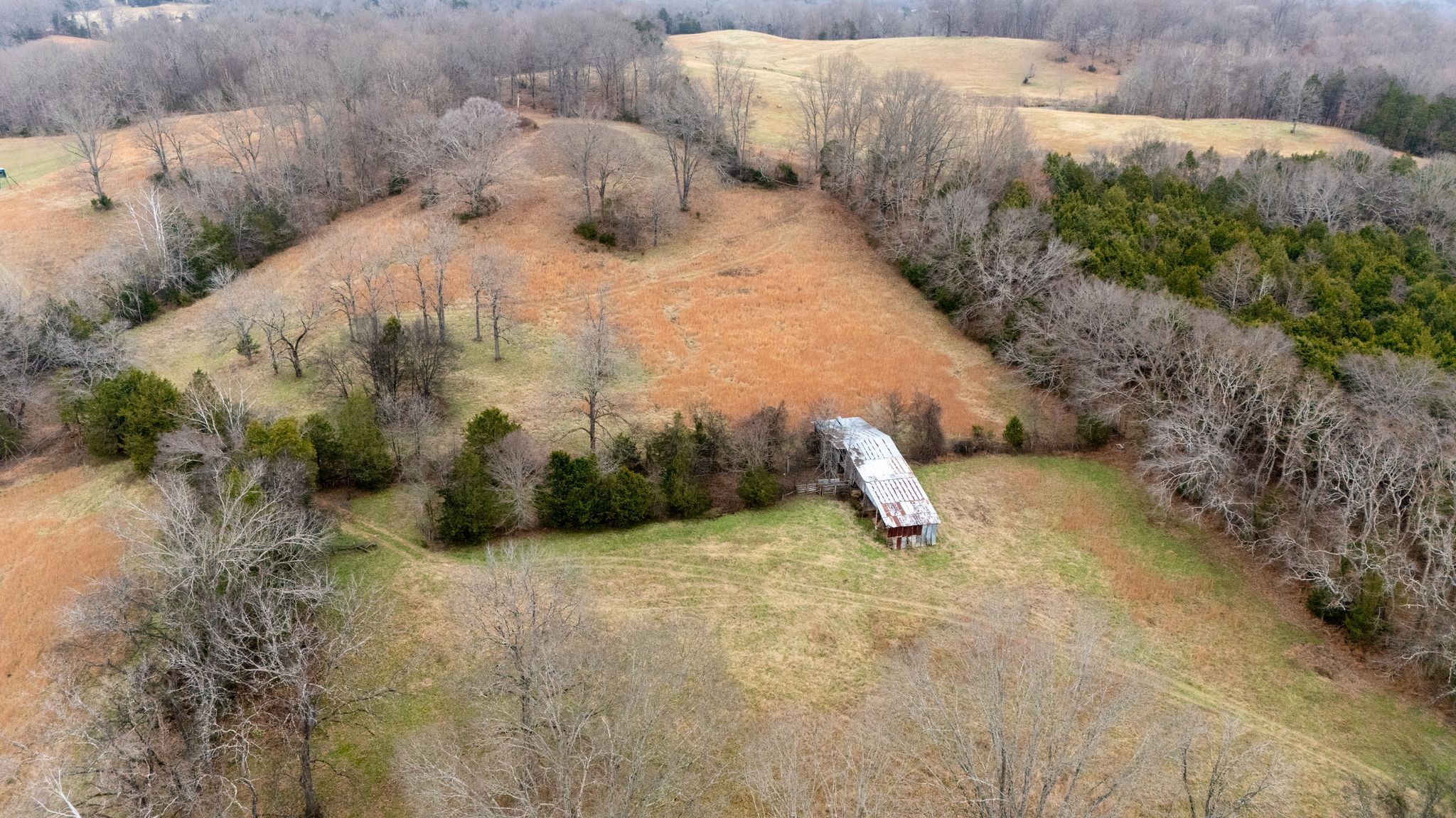 0 Flat Creek Road Spring Hill, TN 37174 - Photo 23 of 37 a view of a dry yard with a and trees