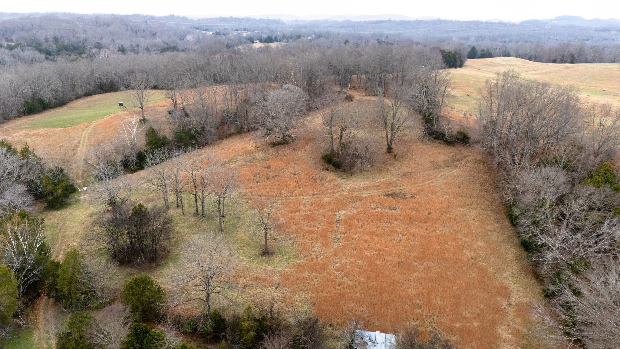 0 Flat Creek Road Spring Hill, TN 37174 - Photo 24 of 37 a view of a outdoor space