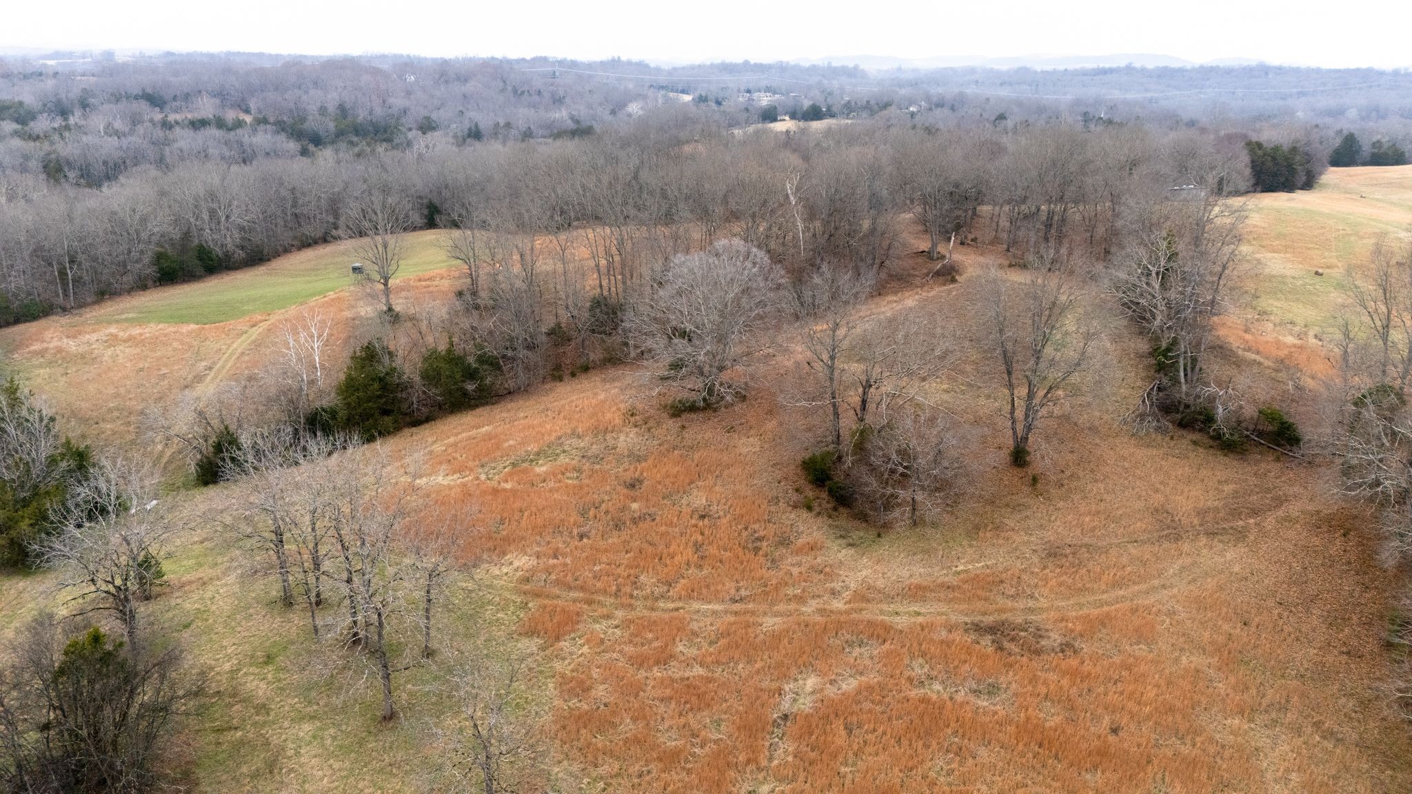 0 Flat Creek Road Spring Hill, TN 37174 - Photo 25 of 37 a view of a dry yard with trees