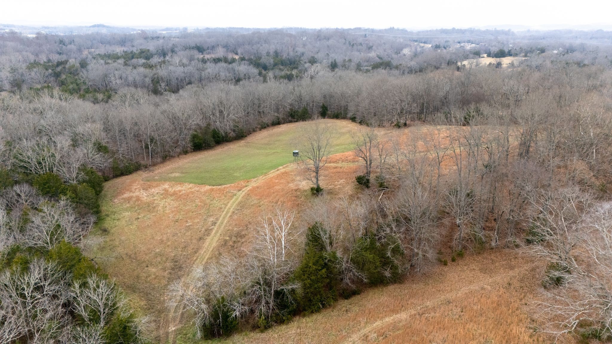 0 Flat Creek Road Spring Hill, TN 37174 - Photo 26 of 37 a view of a lake in middle of green field