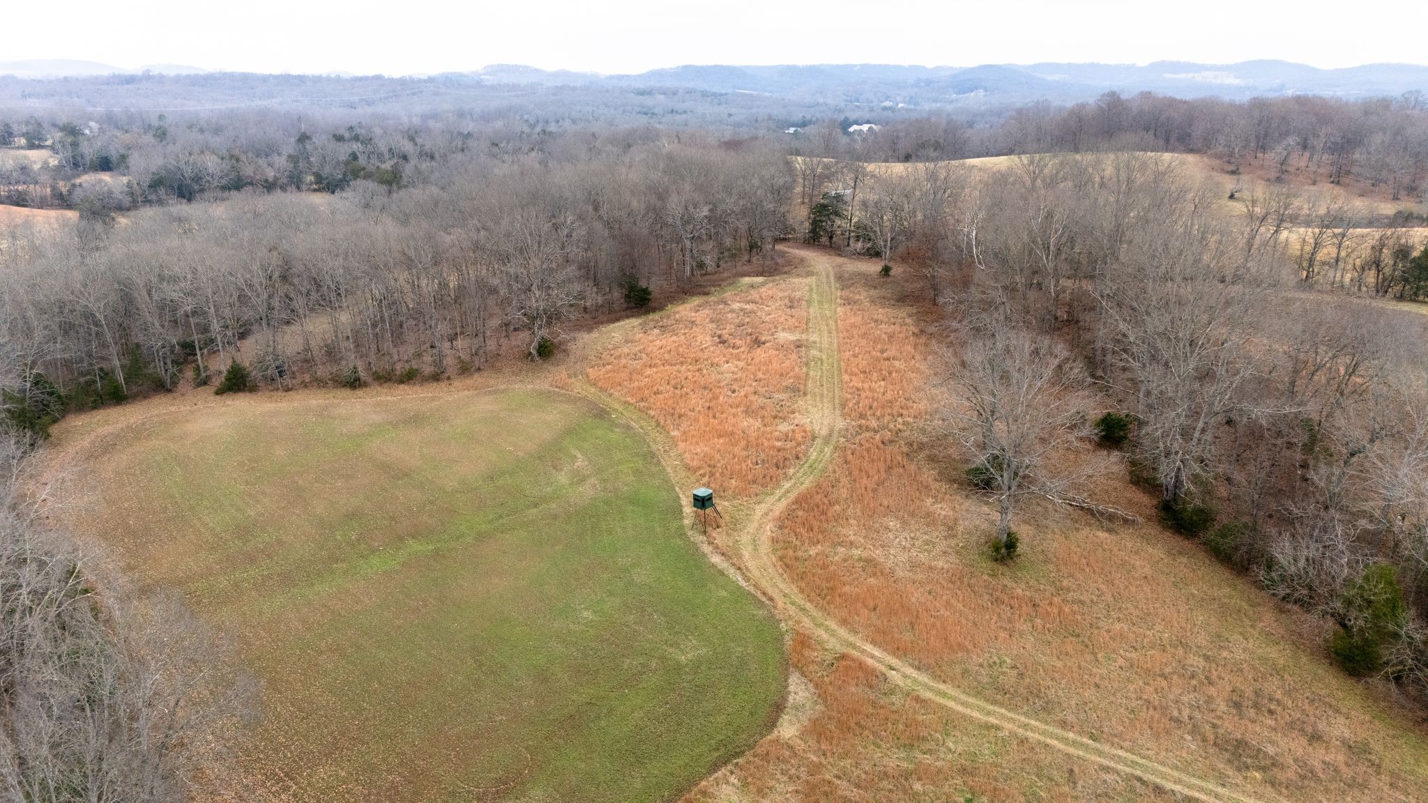 0 Flat Creek Road Spring Hill, TN 37174 - Photo 28 of 37 a view of a dry yard with green space