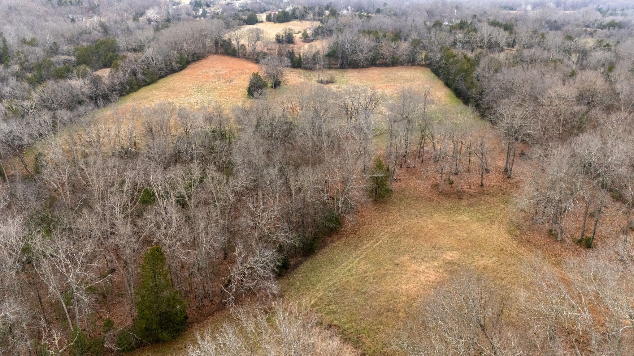 0 Flat Creek Road Spring Hill, TN 37174 - Photo 29 of 37 a view of a dry yard with trees