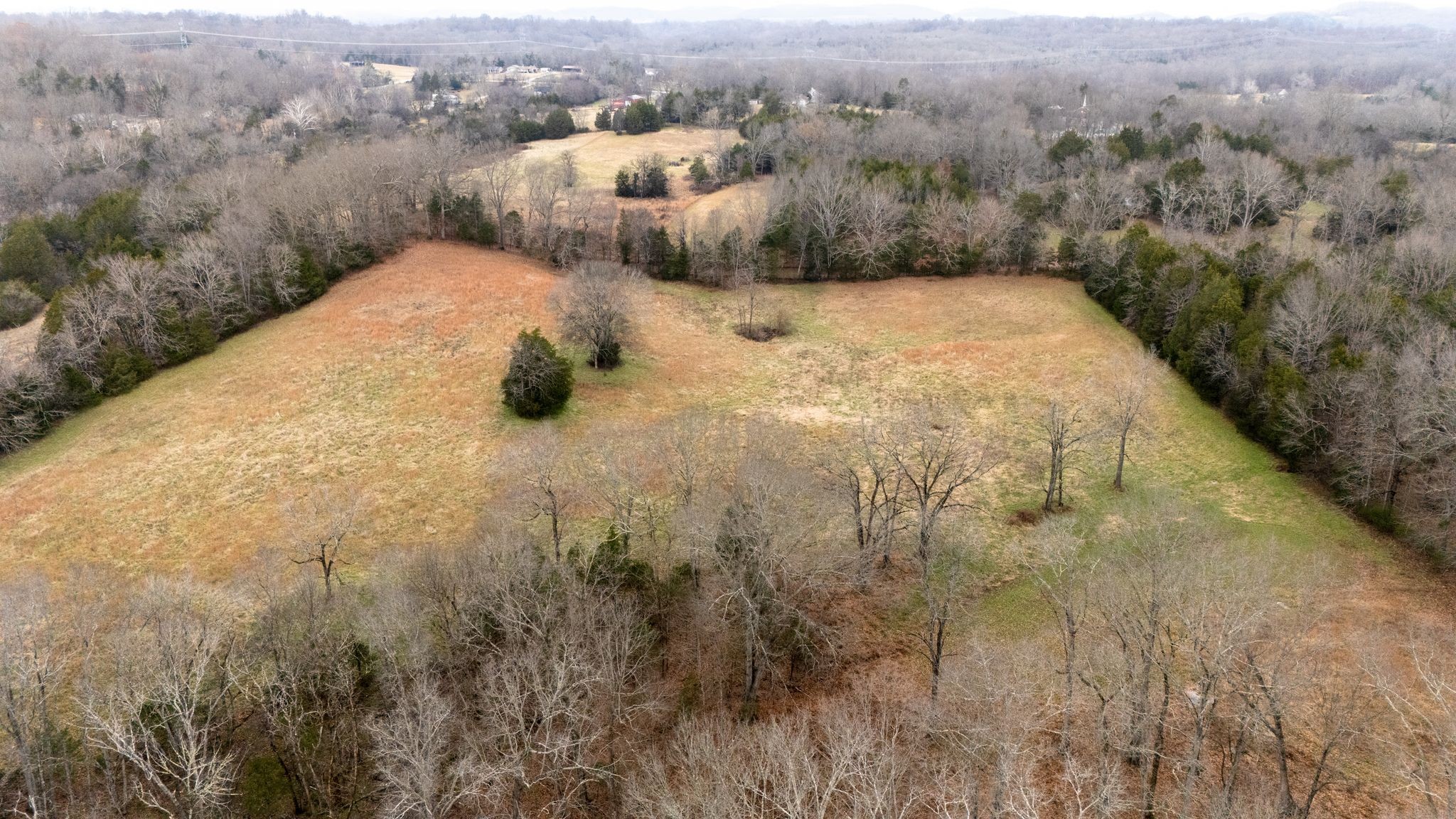 0 Flat Creek Road Spring Hill, TN 37174 - Photo 30 of 37 a view of a dry yard with green space