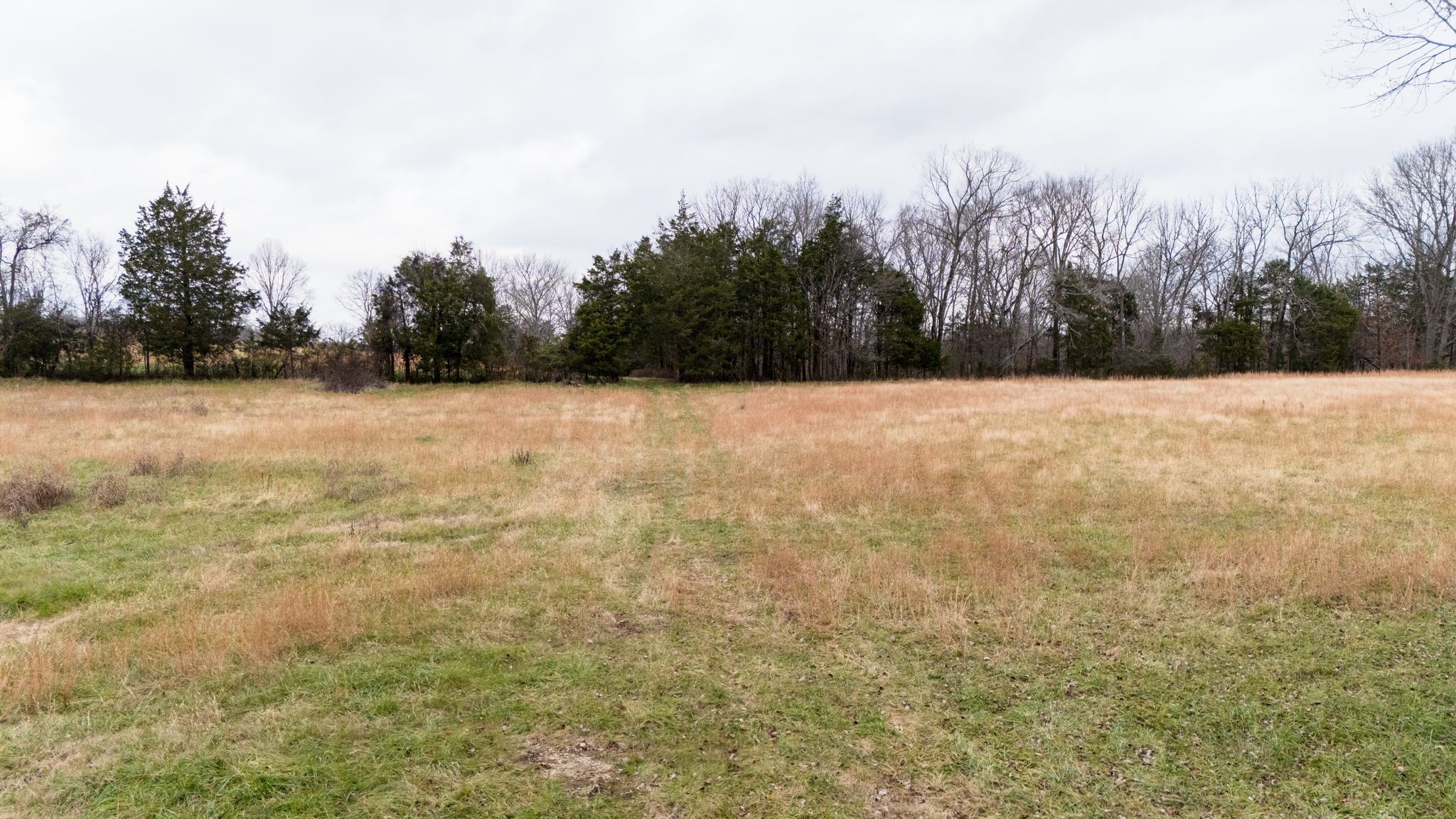 0 Flat Creek Road Spring Hill, TN 37174 - Photo 3 of 37 a view of an ocean and beach