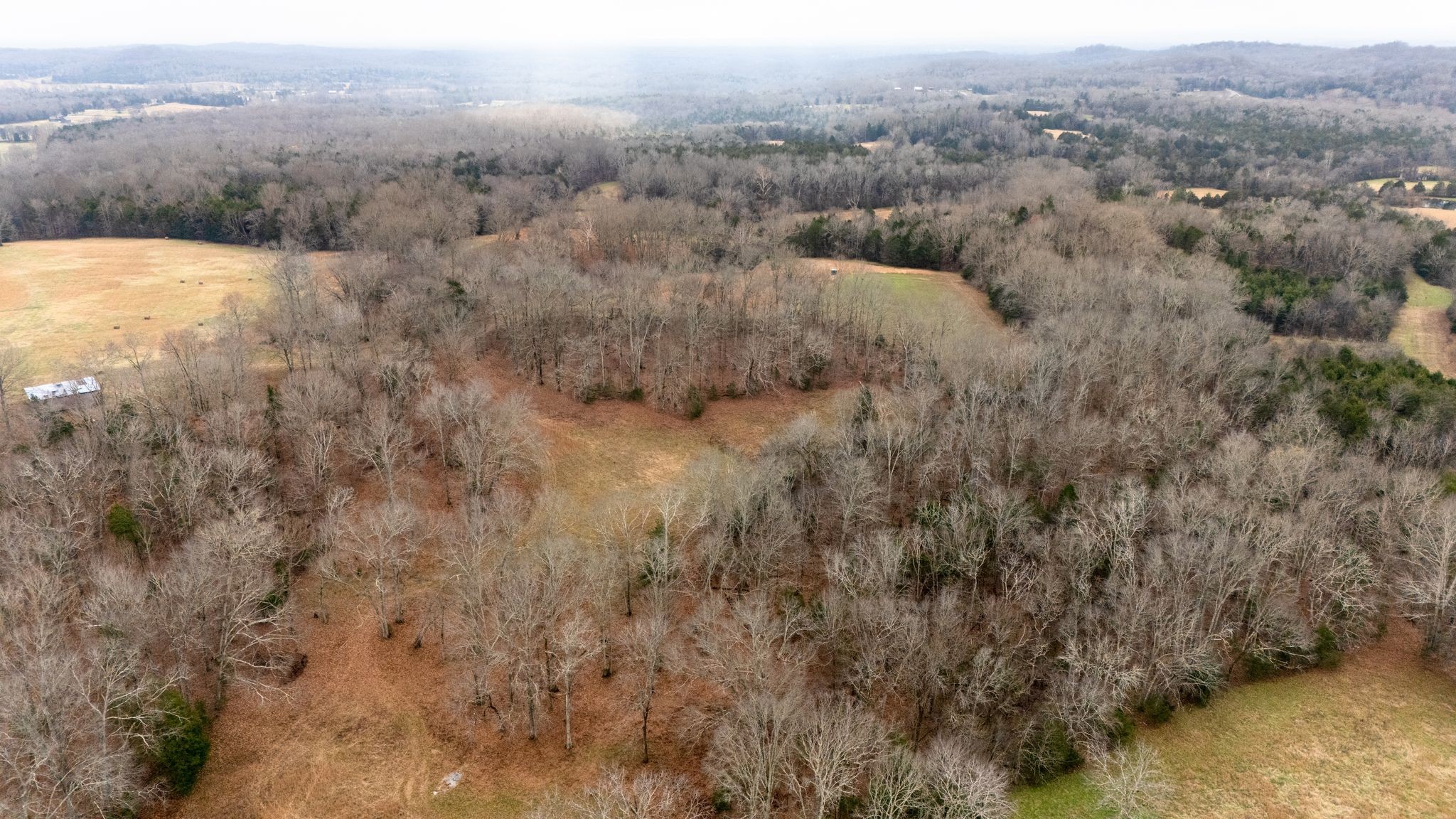 0 Flat Creek Road Spring Hill, TN 37174 - Photo 32 of 37 a view of a dry yard