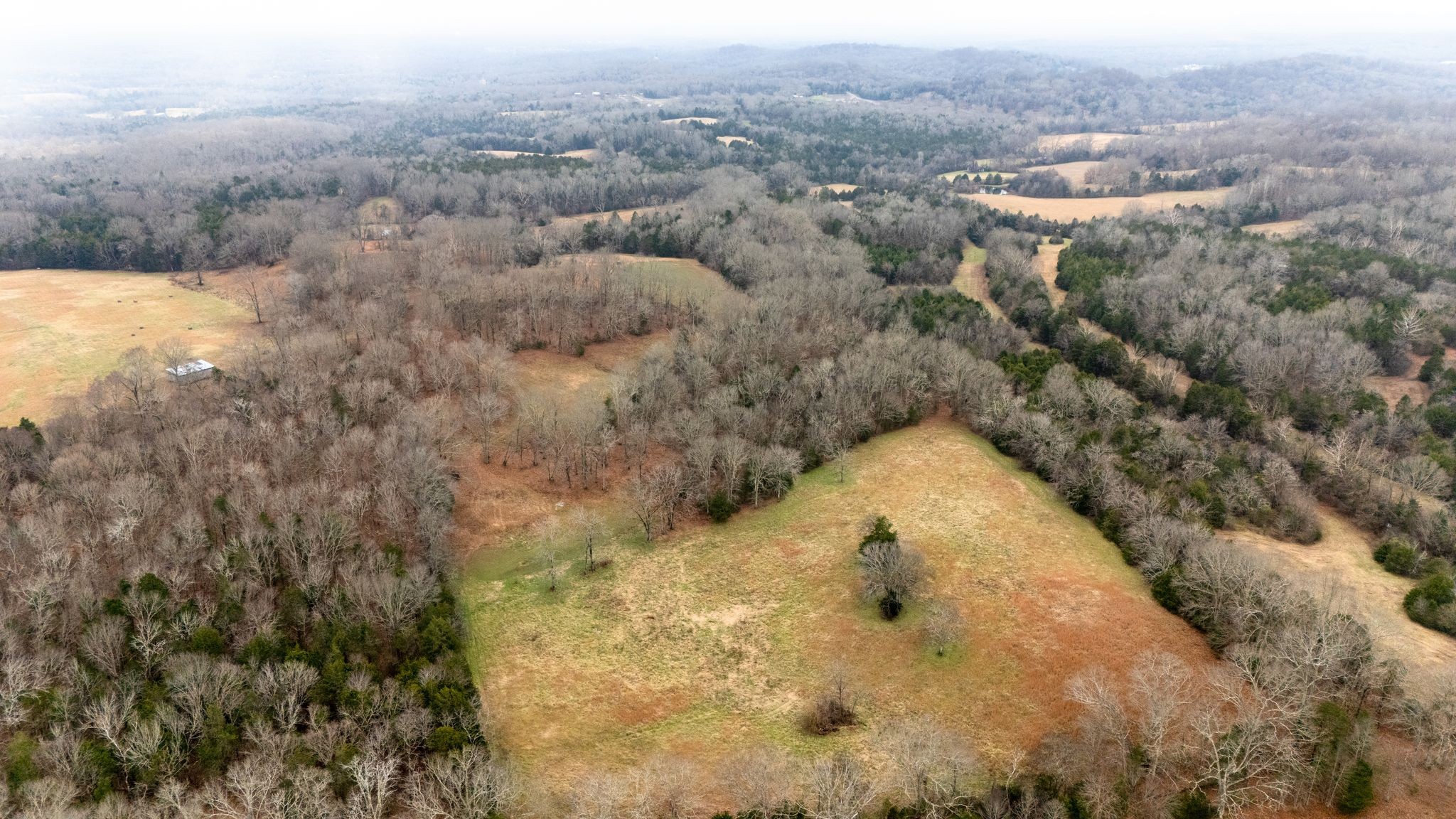 0 Flat Creek Road Spring Hill, TN 37174 - Photo 35 of 37 a view of a dry yard