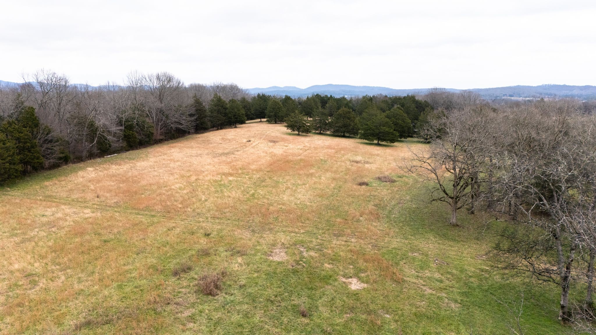 0 Flat Creek Road Spring Hill, TN 37174 - Photo 4 of 37 a view of a dry yard with mountains in the background