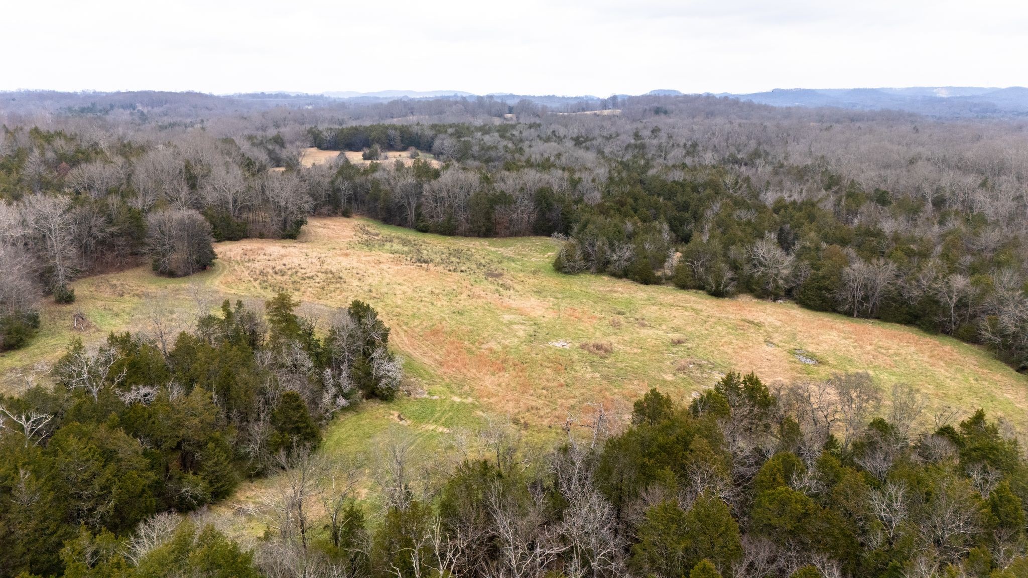 0 Flat Creek Road Spring Hill, TN 37174 - Photo 10 of 37 a view of a dry yard
